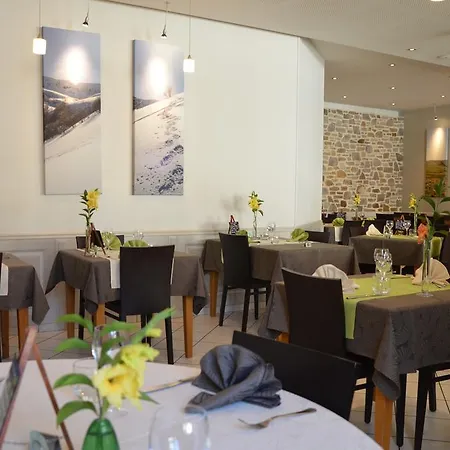 מלון Logis De L'allagnonette 2*