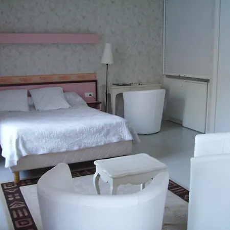 Logis De L'allagnonette מלון 2*